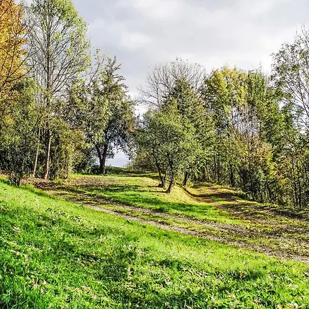 By Interhome Starkov (Hradec Kralove)