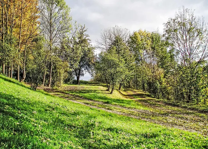 Valley Park 3 By Interhome Stárkov